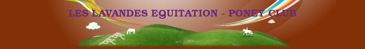 LES LAVANDES EQUITATION - PONEY CLUB
